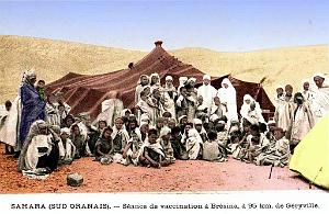 Sud oranais 